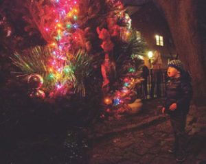 Bay Village Christmas Tree