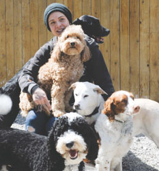 Celebrating the Urban Hound